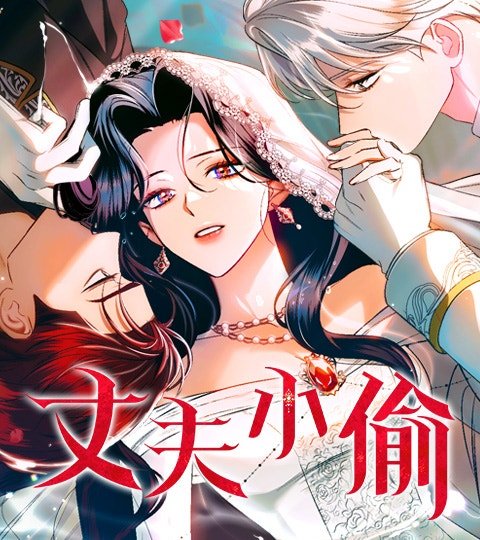 丈夫小偷封面